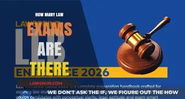 Navigating the Legal Labyrinth: A Guide to Law Exams