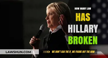 Legal Controversies Surrounding Hillary: A Comprehensive Analysis