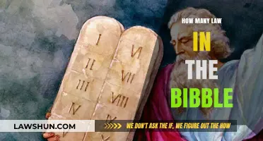 Exploring the Depths: A Comprehensive Guide to Biblical Laws
