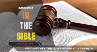 Exploring the Depths: A Comprehensive Guide to Biblical Laws