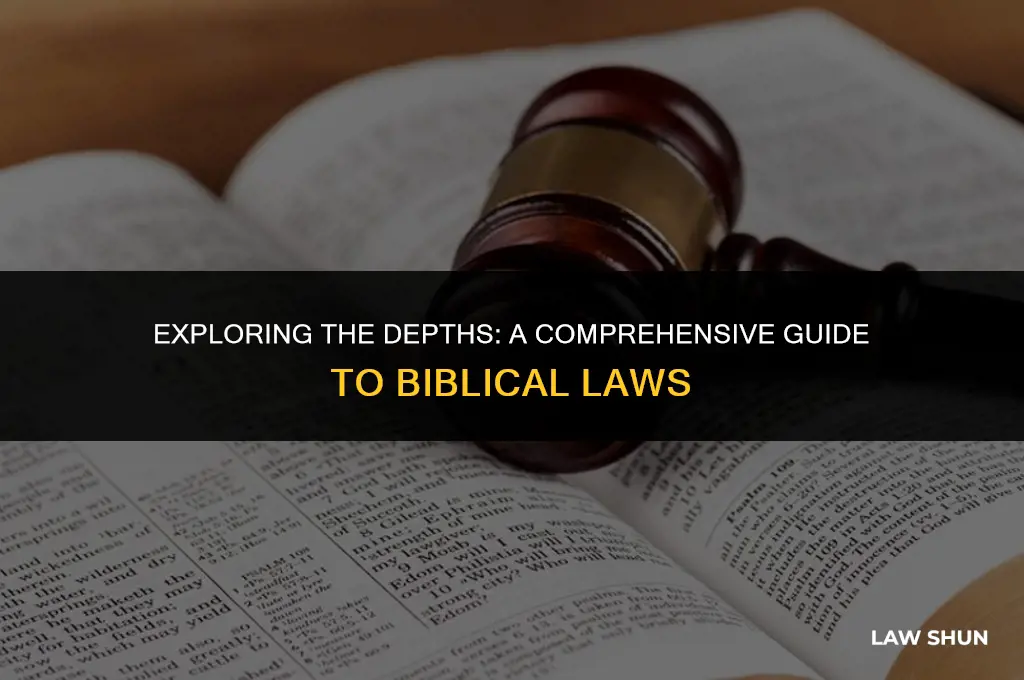 how many law in the bible