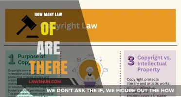 Exploring the Multitude of Laws: A Comprehensive Overview