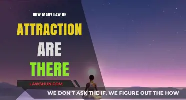 Exploring the Core Principles: How Many Laws of Attraction Exist?