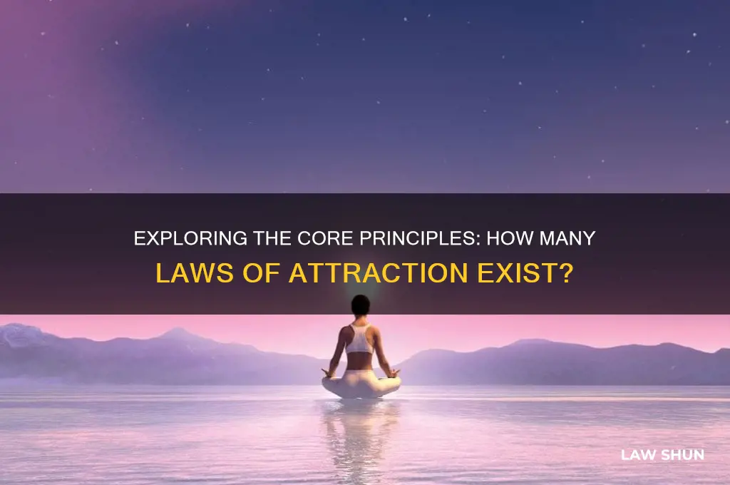 how many law of attraction are there