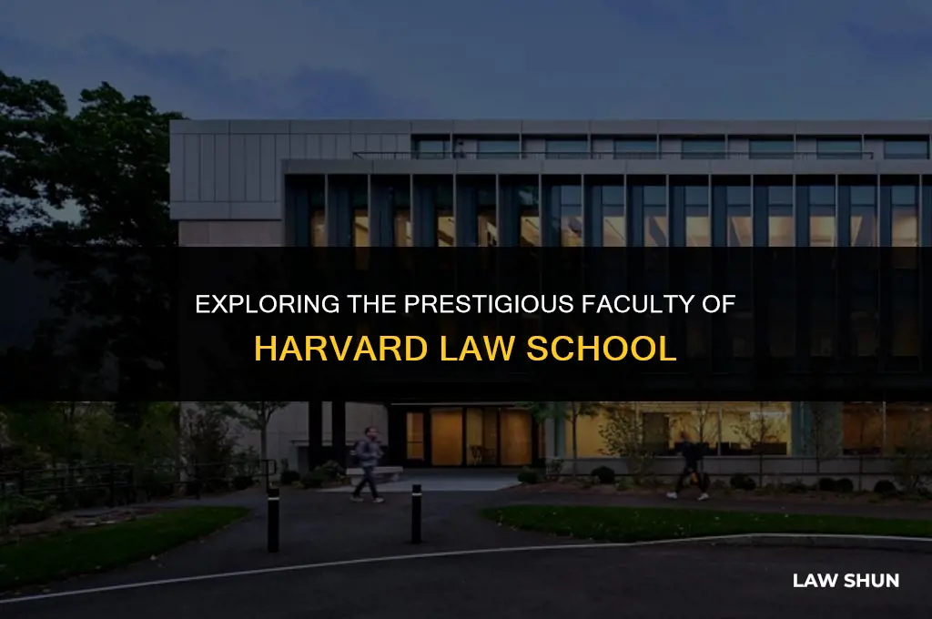 how many law professors at harvard