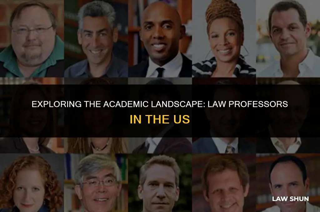 how many law professors in us