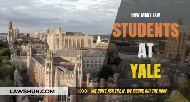 Yale Law School Enrollment: How Many Students Are Admitted Annually?