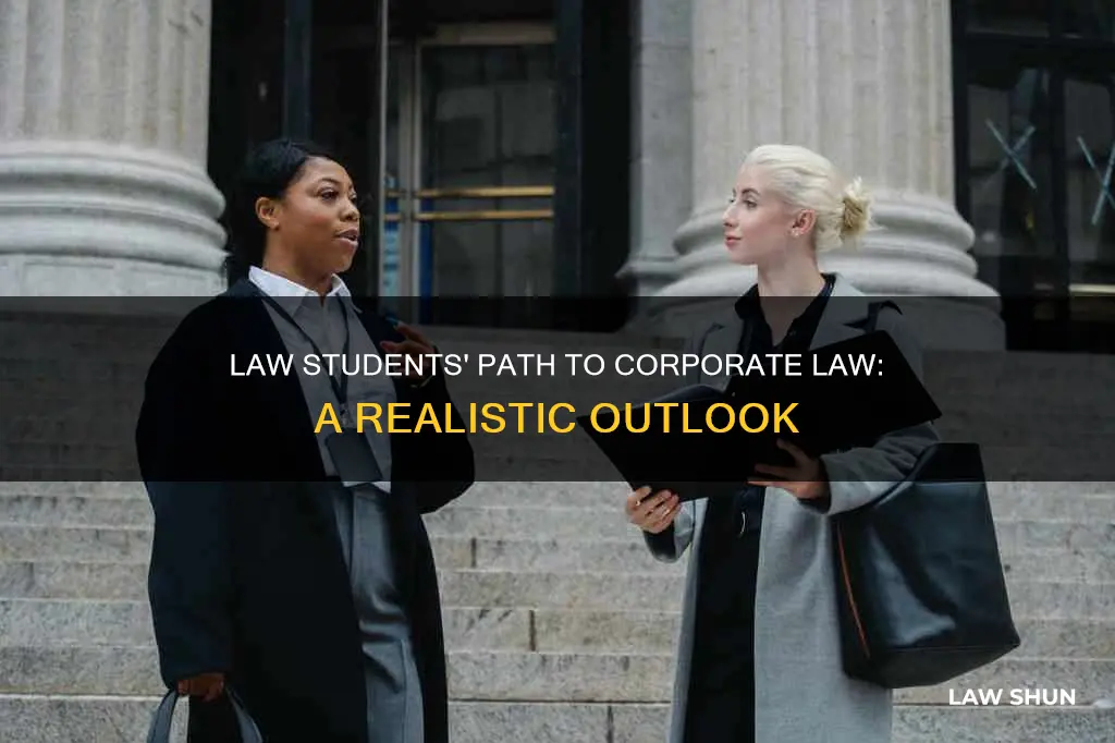 how many law students become corporate lawyers