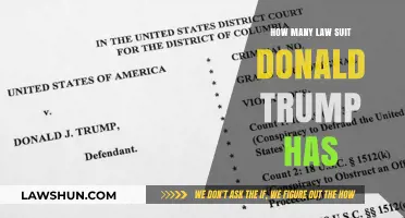 Donald Trump's Legal Battles: Counting the Lawsuits and Controversies