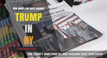 Trump's Legal Battles: Counting Lawsuits in New York State