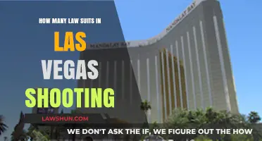 Las Vegas Shooting Lawsuits: Unraveling the Legal Aftermath and Claims