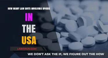 Opioid Crisis: The Surge of Lawsuits Across the USA