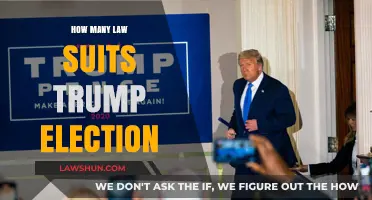 Trump's Election Lawsuits: Counting the Legal Battles and Outcomes