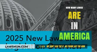 Exploring the Complexity of U.S. Legislation: A Comprehensive Guide
