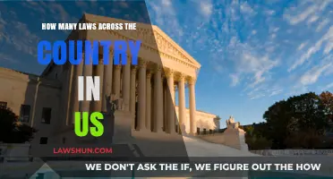 Understanding the Vast Number of Laws Across the United States