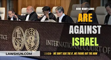 Examining the Legal Landscape: Israel and International Law