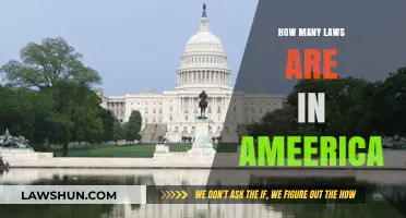Exploring the Complexity of U.S. Legislation: A Comprehensive Guide