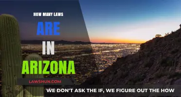 Exploring the Legal Landscape: A Comprehensive Guide to Arizona's Laws