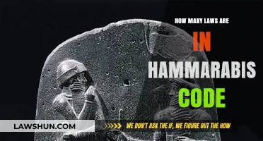 Exploring the Ancient Legal Framework: Laws in Hammurabi's Code