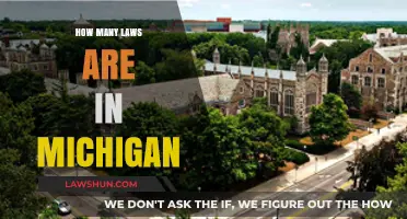 Exploring Michigan's Legal Landscape: Uncovering the Countless Laws in Effect
