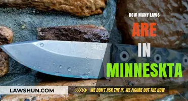 Exploring the Legal Landscape: A Guide to Minnesota's Laws