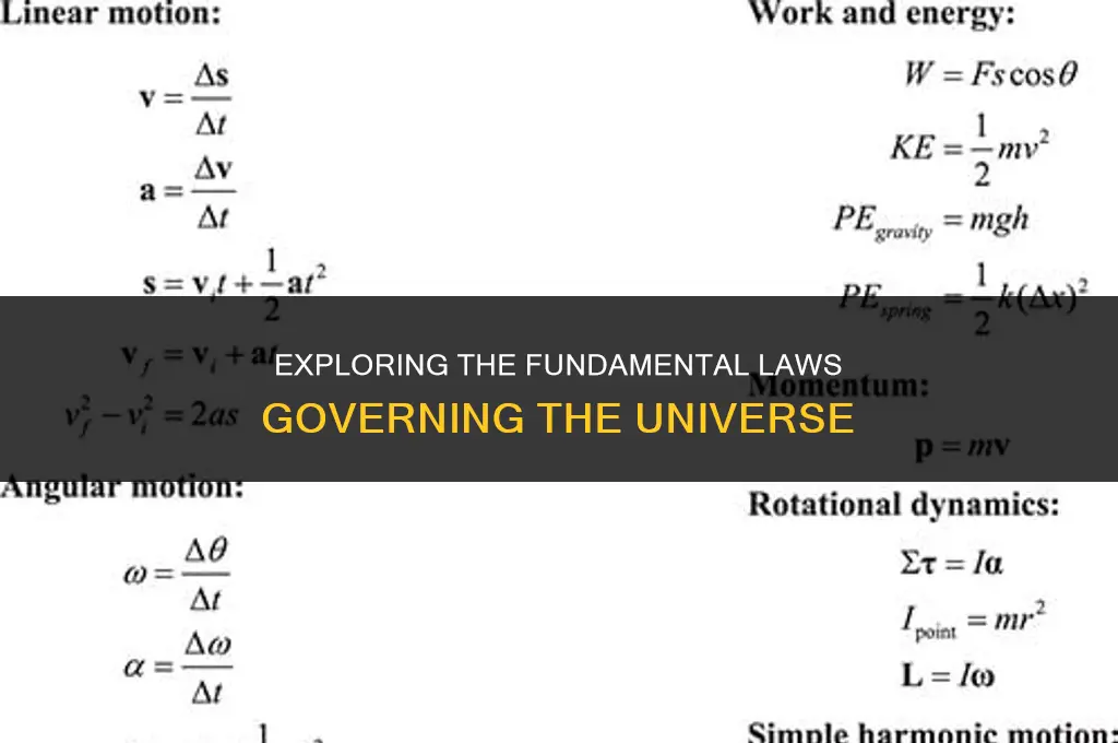 how many laws are in physics