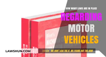 Understanding the Extensive Legal Framework Governing Motor Vehicles