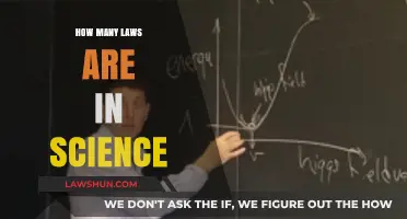 Exploring the Fundamental Laws Governing Our Universe