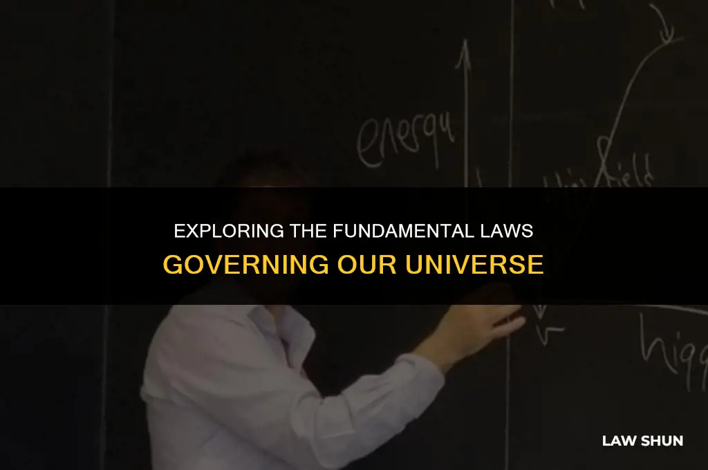 how many laws are in science