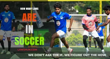 Understanding the Beautiful Game: A Guide to Soccer's Essential Laws