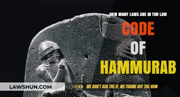 Exploring the Extensive Laws in Hammurabi's Ancient Legal Code
