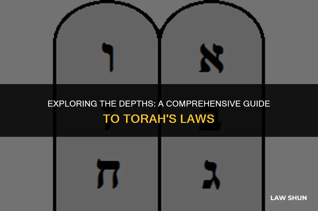 how many laws are in torah