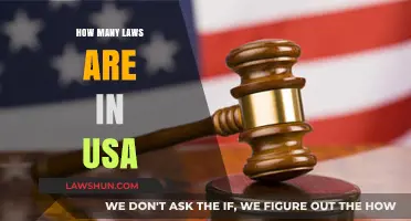 Exploring the Complex Legal Landscape: A Guide to U.S. Laws
