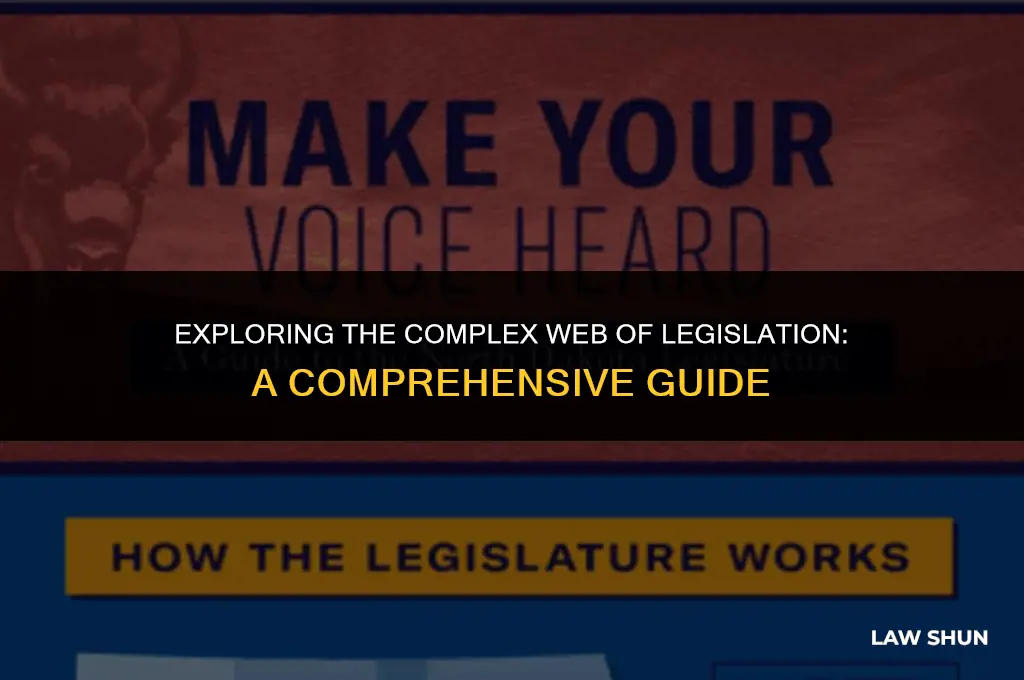 how many laws are ther instituted