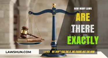 Exploring the Complexity: A Deep Dive into Legal Statutes