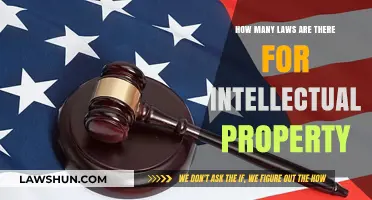 Understanding the Vast Landscape of Intellectual Property Laws Globally