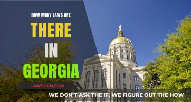 Exploring Georgia's Legal Landscape: A Comprehensive Count of State Laws