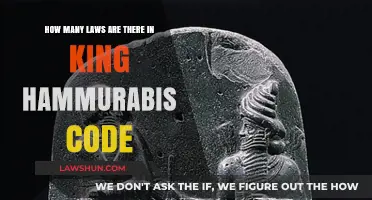 Exploring the Extensive Legal Framework of King Hammurabi's Code