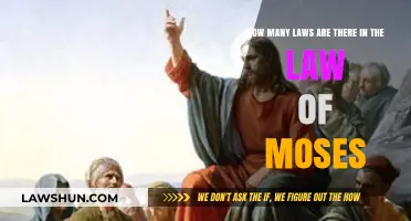 Exploring the Count: Laws Within the Mosaic Covenant