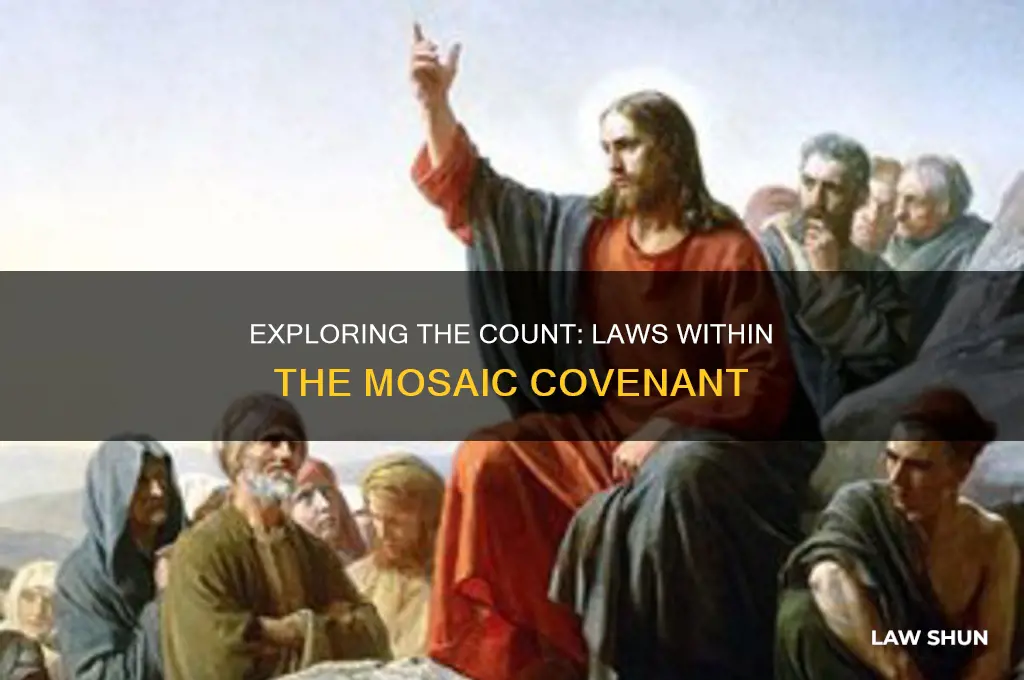 how many laws are there in the law of moses