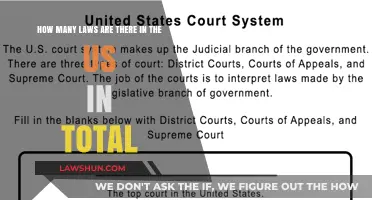 Unraveling the Complexity: Total Number of Laws in the U.S