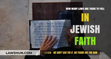 Understanding the Vast Number of Laws in Jewish Faith