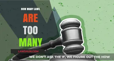 Navigating the Labyrinth: When Legislation Overwhelms Justice