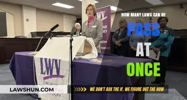 Laws Passed in Bulk: How Many is Too Many?