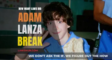 Adam Lanza's Many Broken Laws