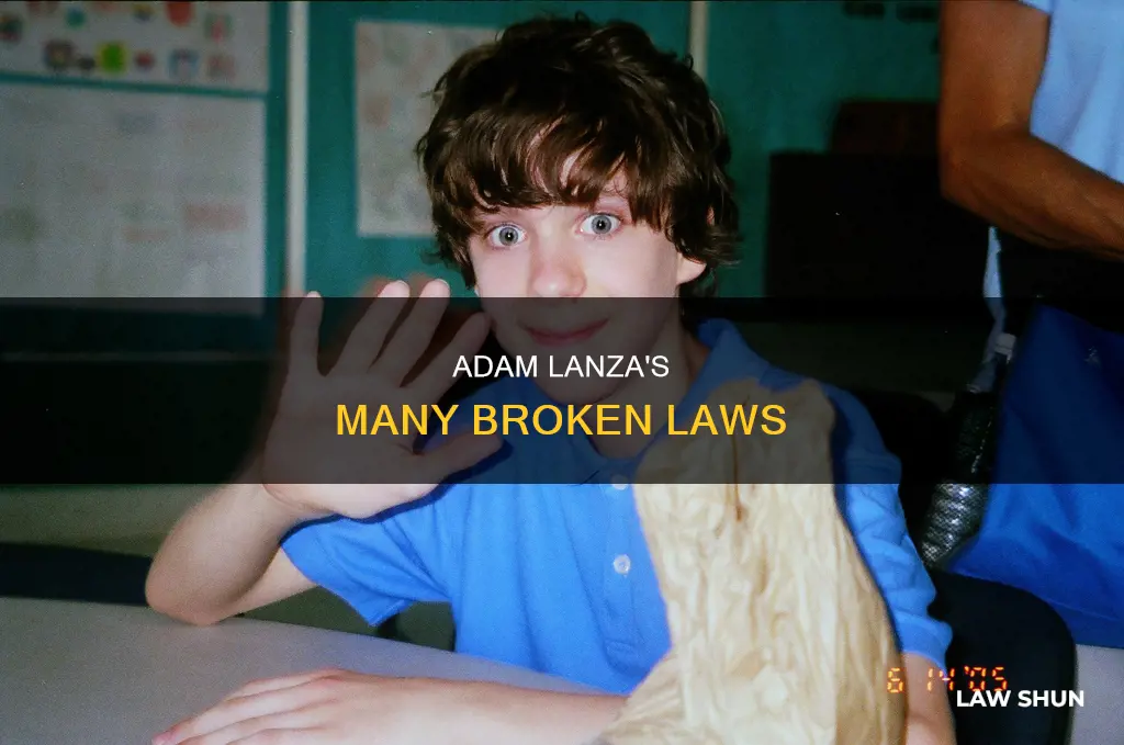 how many laws did adam lanza break