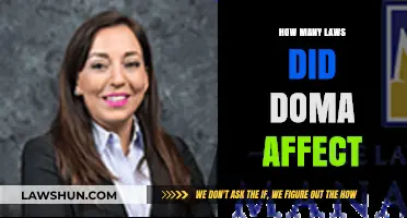 DOMA's Impact: Exploring the Scope of Affected Laws and Policies