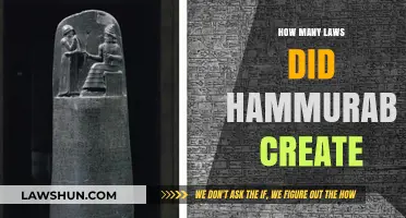 Hammurabi's Legacy: Laws and Their Number