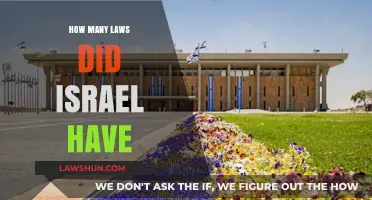 Unraveling the Complexity: Israel's Legislative Landscape Explored