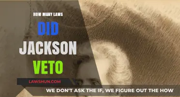 President Jackson's Veto Legacy: A Detailed Examination
